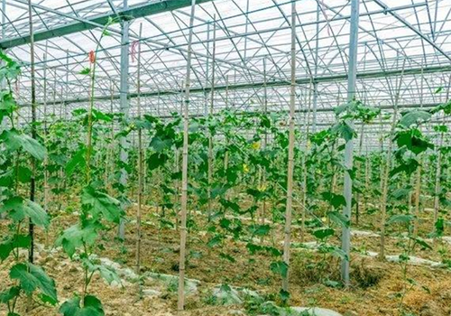 助力实现“双碳”，中国空气能领军品牌milan米兰空气能鼓励采用清洁能源供热！