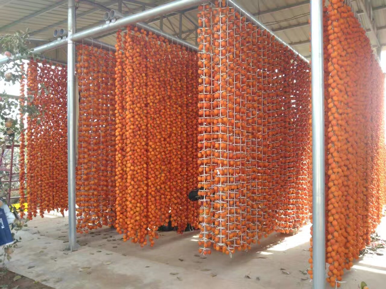 微信图片_20171117164820.jpg 微信图片_20171117164820.jpg