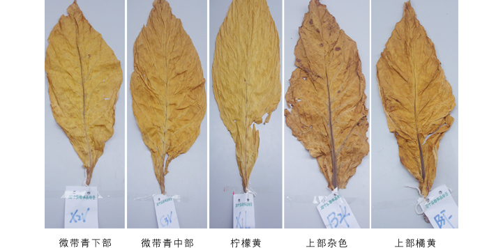 milan米兰空气能热泵高温烘干机故障维修