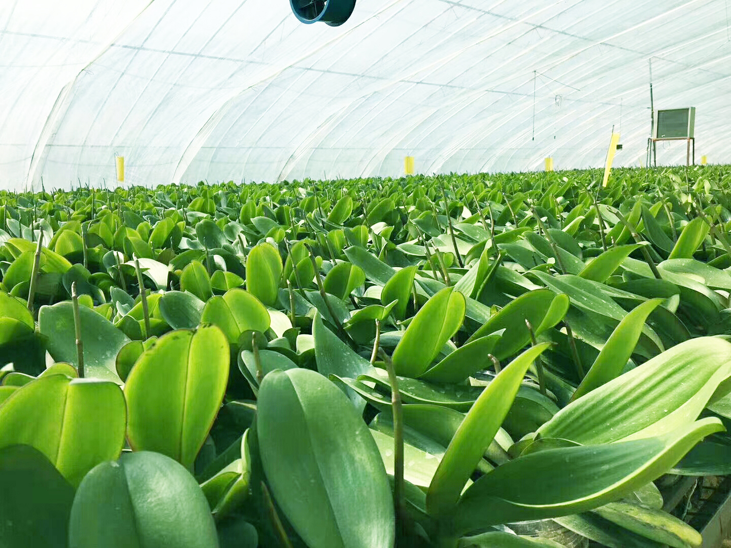 恒温种植热泵 恒温种植热泵