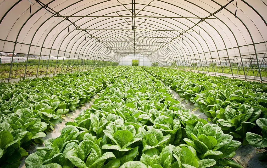 大棚供暖用空气能热泵，恒温安全更经济